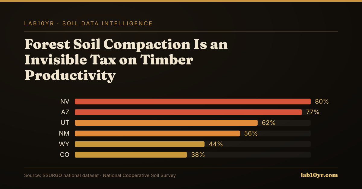 Forest Soil Compaction Is an Invisible Tax on Timber Productivity — Lab10YR data visualization
