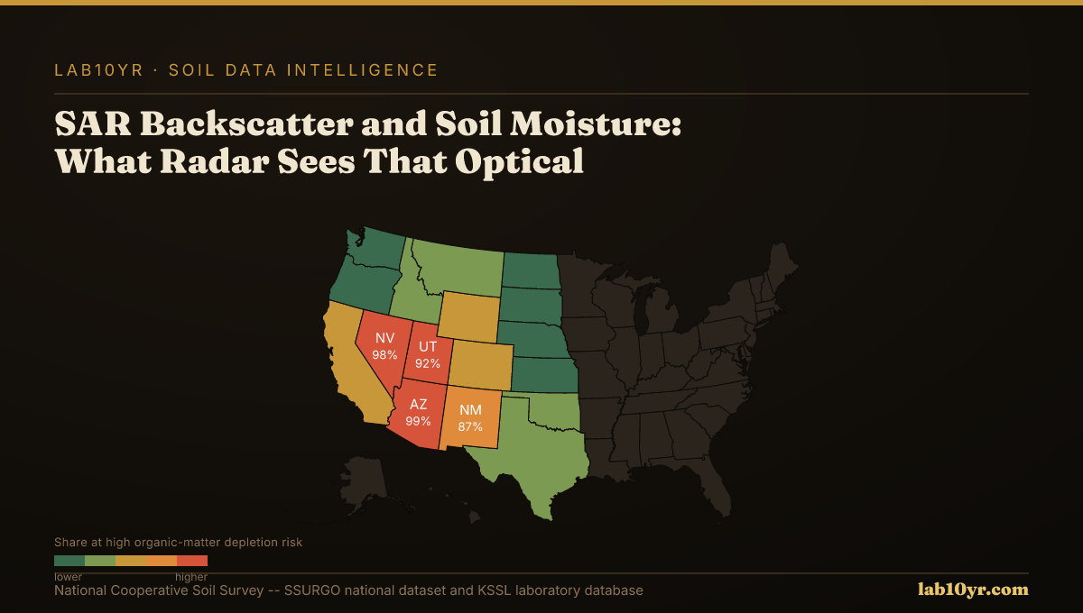 SAR Backscatter and Soil Moisture: What Radar Sees That Optical Satellites Can't — Lab10YR data visualization